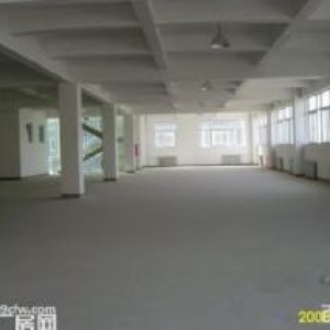 超大空间超高层独立产权价格优惠厂房出售