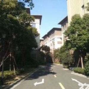 售8米层高，50年产权，独栋框架厂房，首付2成起