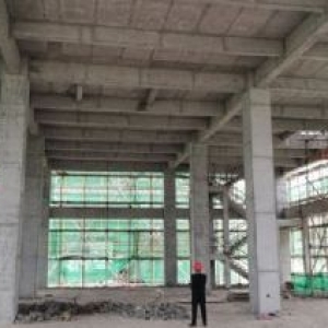 稀缺纯一楼厂房出售 有规划地铁 超市