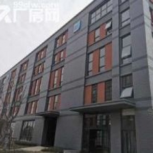 50年产权大证，2层、3层标准厂房出售