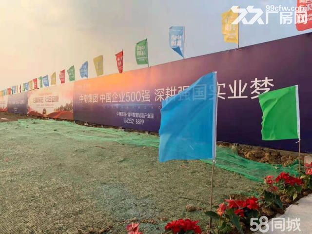 【急租】金寨路旁标准厂房，底层8.1米，面积600到5000平
