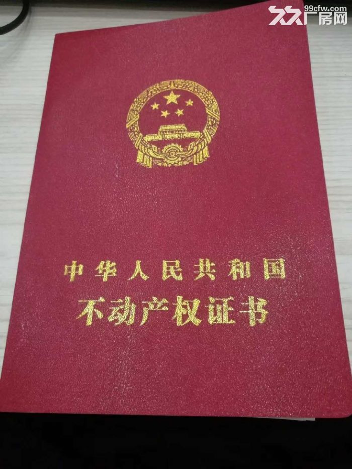 超大空间超高层独立产权价格优惠厂房出售-图3