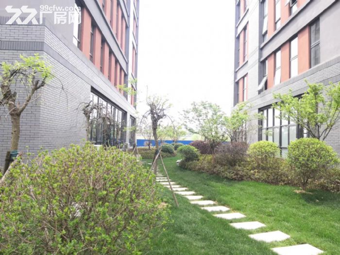 政府推荐园区合巢 肥东 全新轻钢独栋花园厂房办公近地铁-图6