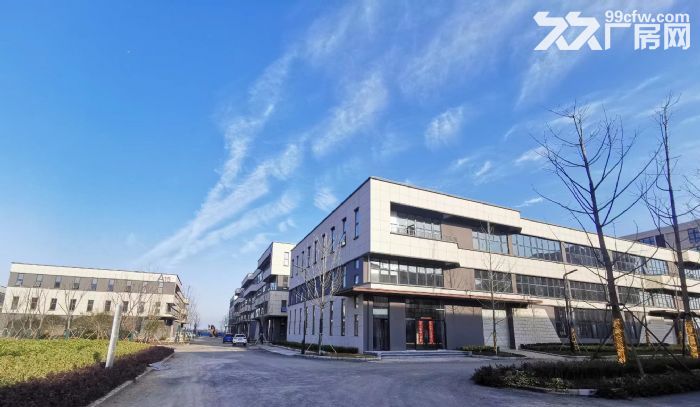 政府推荐园区合巢 肥东 全新轻钢独栋花园厂房办公近地铁-图8