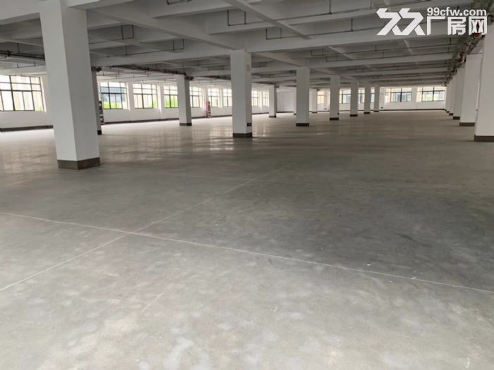 经开桃花4380平方标准框架厂房出租丙类消防-图4